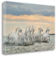 "Camargue Horses - France" By Xavier Ortega, Giclee Print on Gallery Wrap Canvas