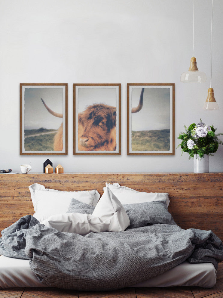 Cow's Eye View Triptych, 3-Piece Set, 24x36 Panels