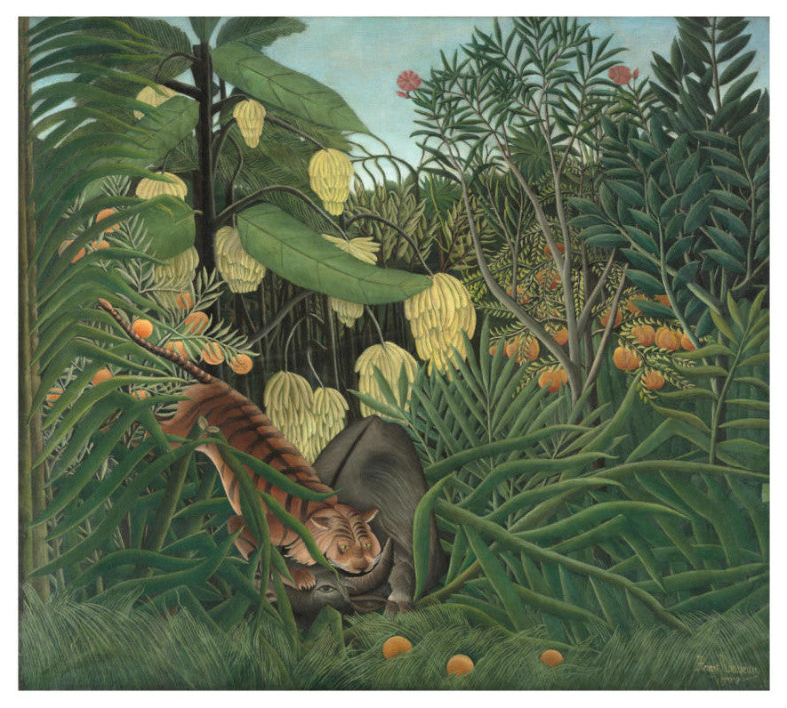 "Fight between a Tiger and a Buffalo, 1908" Print by Henri Rousseau, 24"x22"