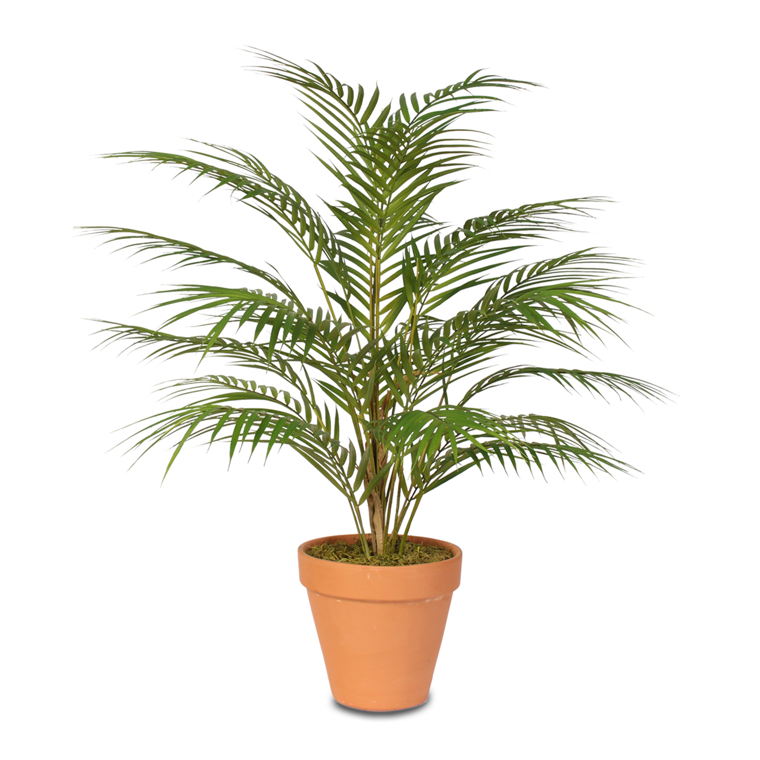 Full product shot on white background; front-facing; no text. Category: alternate_white_full.