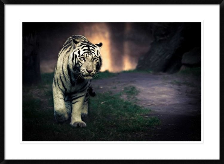"White Walker" Framed Digital Print by Jesus Gonzalez, 38"x28"