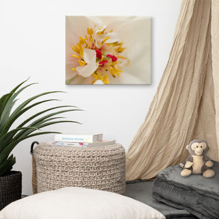 Eye of Peony Floral Nature Photography Canvas Wall Art Print, 16" X 20"