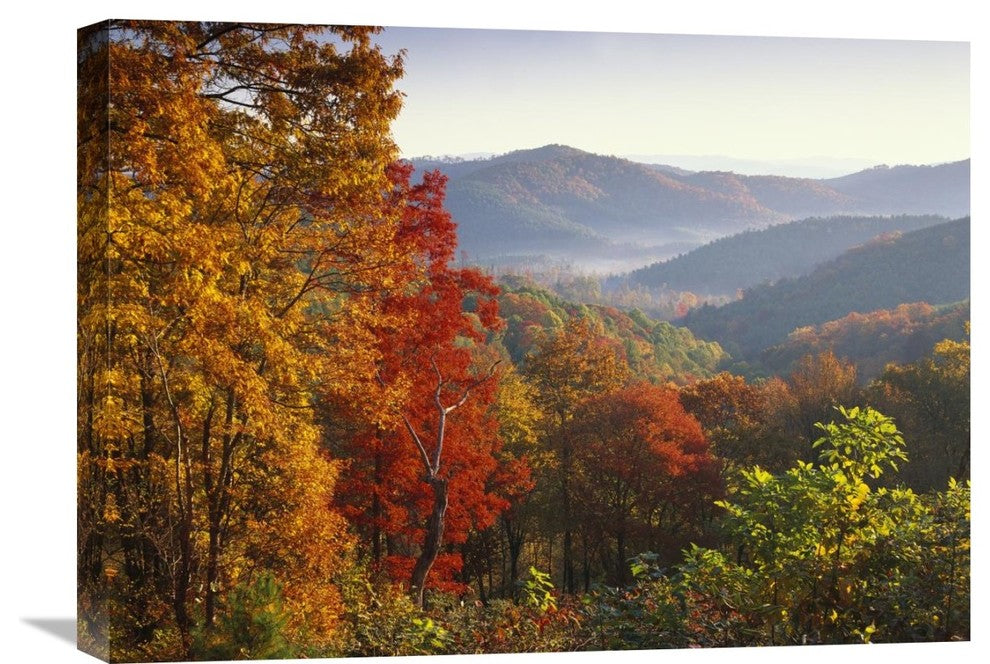 "Autumn Foliage On Blue Ridge Range, North Carolina" Artwork