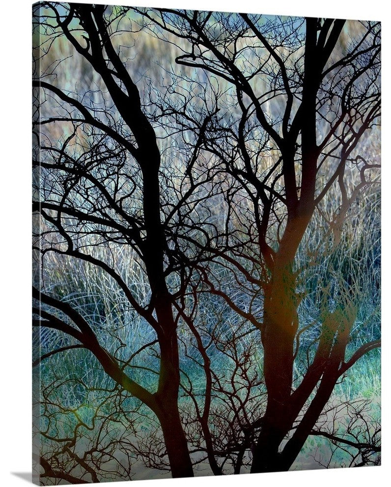 "Tangled in Turquoise" Wrapped Canvas Art Print, 16"x20"x1.5"