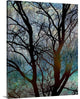"Tangled in Turquoise" Wrapped Canvas Art Print, 16"x20"x1.5"