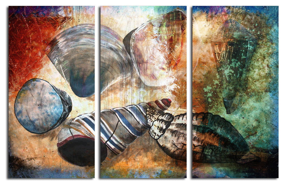 Shells Canvas Wall Art, 3-Piece Set