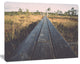 Wood Footpath on the Bog in Fall, Large Landscape Canvas Art, 20"x12"