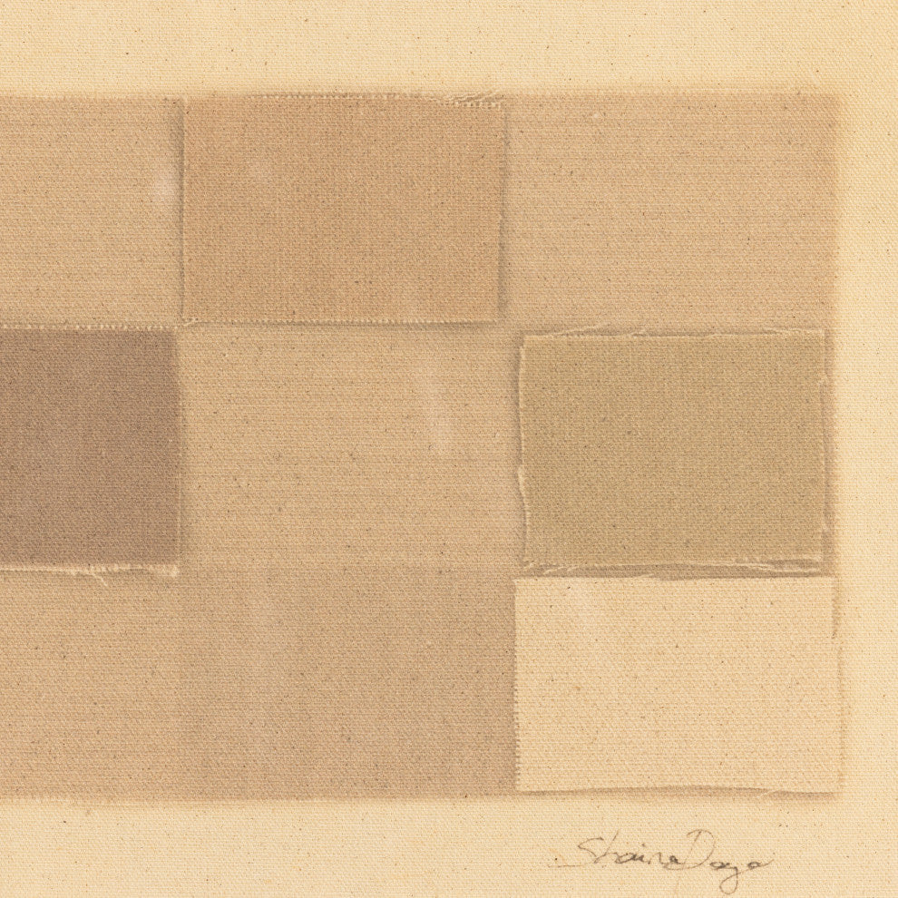 Checkered Earth Tones By Shaina Page