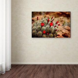 LightBoxJournal 'Desert Flower 3' Canvas Art, 12" x 19"