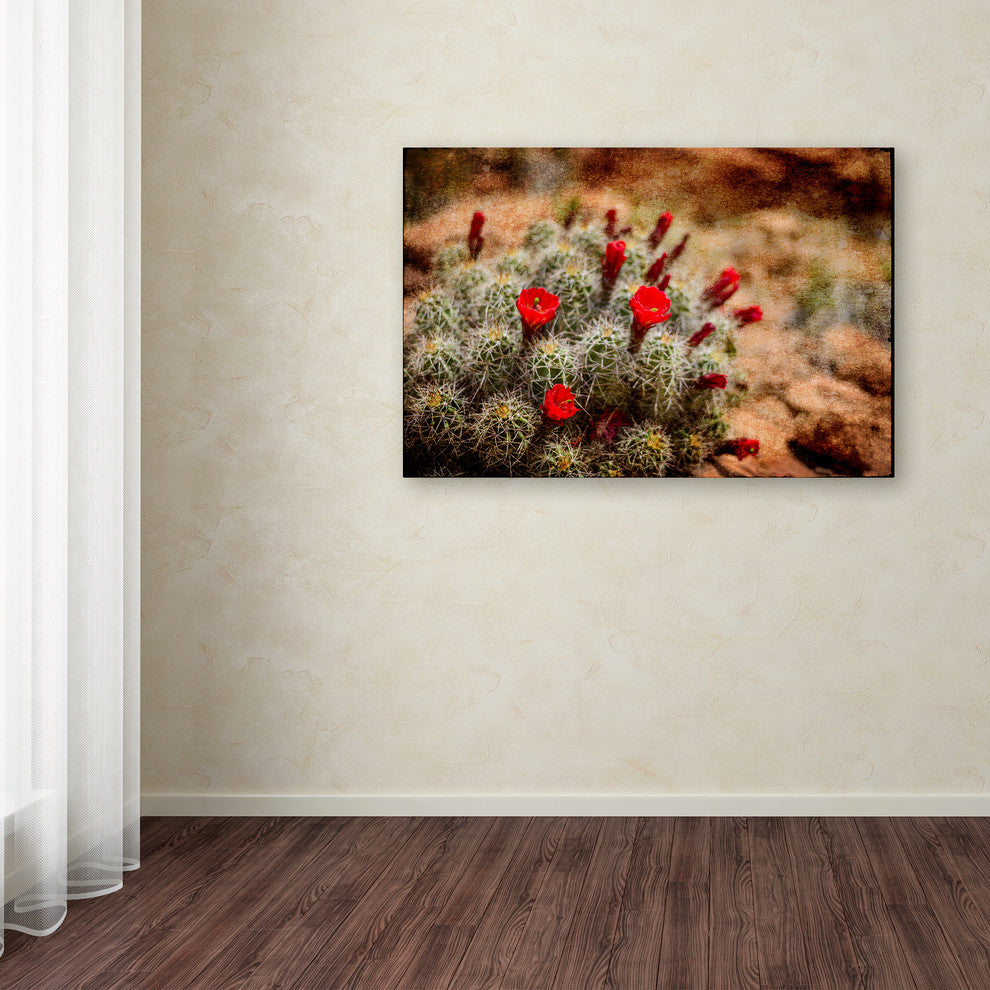 LightBoxJournal 'Desert Flower 3' Canvas Art, 12" x 19"