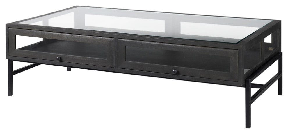 Arelius Glass-Top Black-Brown Wood With Black Metal Base Display Coffee Table