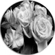 Bunch Of Roses Black And White, Floral Large Disc Metal Wall Art, 36"