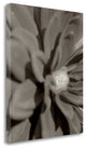 "Florison - 6" By Alan Blaustein, Giclee Print on Gallery Wrap Canvas