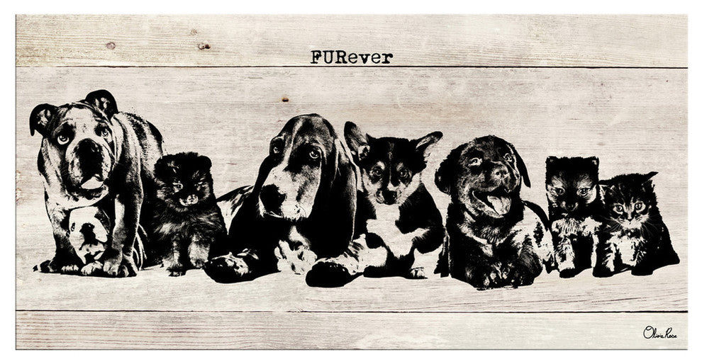 Ready2HangArt ''FURever'' Wrapped Canvas Animal Wall Art, 12"x24"