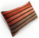 Canyon Stripes Velvet Throw Pillow 12x20