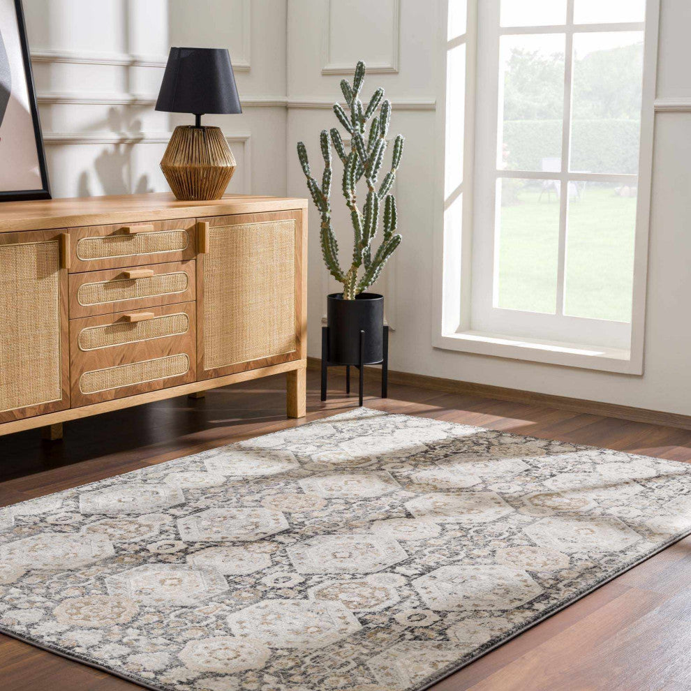 Hauteloom Parkerfield Blue Area Rug, Beige/Black/Charcoal, 5'3"x7'3"