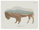 Wild Apple Portfolio ''American Southwest Buffalo'' Canvas Art, 47"x35"