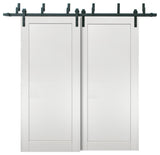 Barn Bypass Doors & 6.6ft Hardware | Quadro 4111 White Ash | Rails Set, 60" X 84