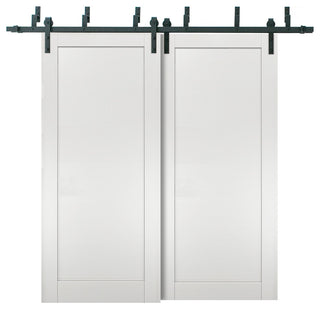 Barn Bypass Doors & 6.6ft Hardware | Quadro 4111 White Ash | Rails Set, 60" X 84