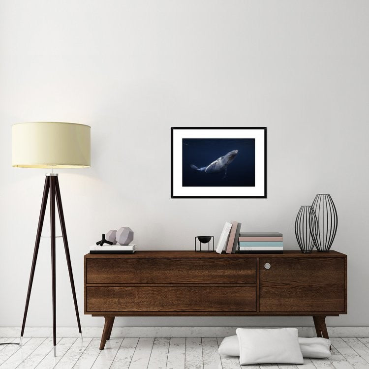 "Humpback Whale" Framed Digital Print by Barathieu Gabriel, 32x24"