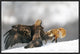 "Golden Eagle And Red Fox" Framed Canvas Giclee by Yves Adams, 25x17"