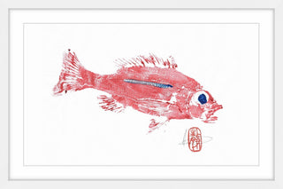 "Rose Snapper" Framed Painting Print, 36"x24"