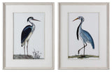 Uttermost Shore Birds Wood Glass Framed Prints in Black/Blue/White (Set of 2)