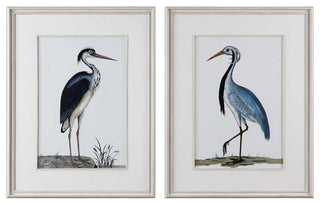 Uttermost Shore Birds Wood Glass Framed Prints in Black/Blue/White (Set of 2)