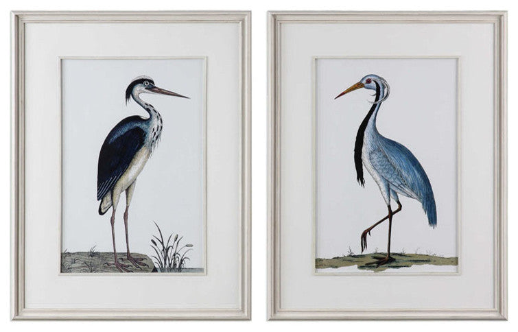 Uttermost Shore Birds Wood Glass Framed Prints in Black/Blue/White (Set of 2)