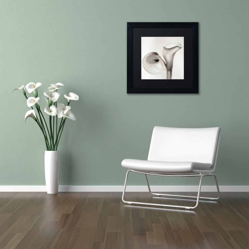 Alan Blaustein ''Florison 35'' Art, Black Frame, Black Mat, 11x11