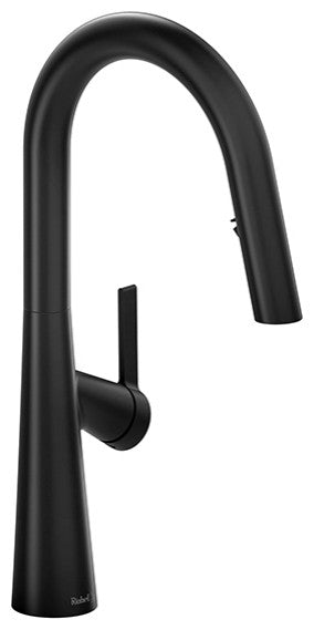 Ludik Kitchen Faucet With Spray, Black