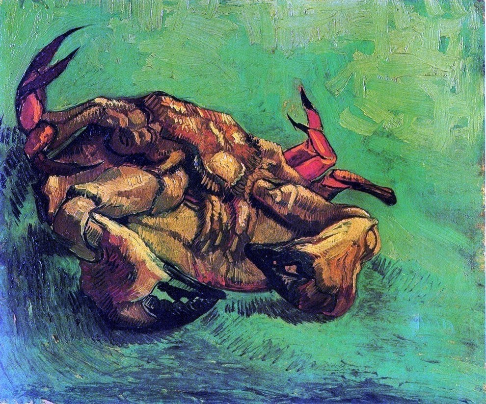 Vincent Van Gogh Crab on Its Back, 20"x25" Gallery Wrapped Canvas Print