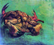 Vincent Van Gogh Crab on Its Back, 20"x25" Gallery Wrapped Canvas Print