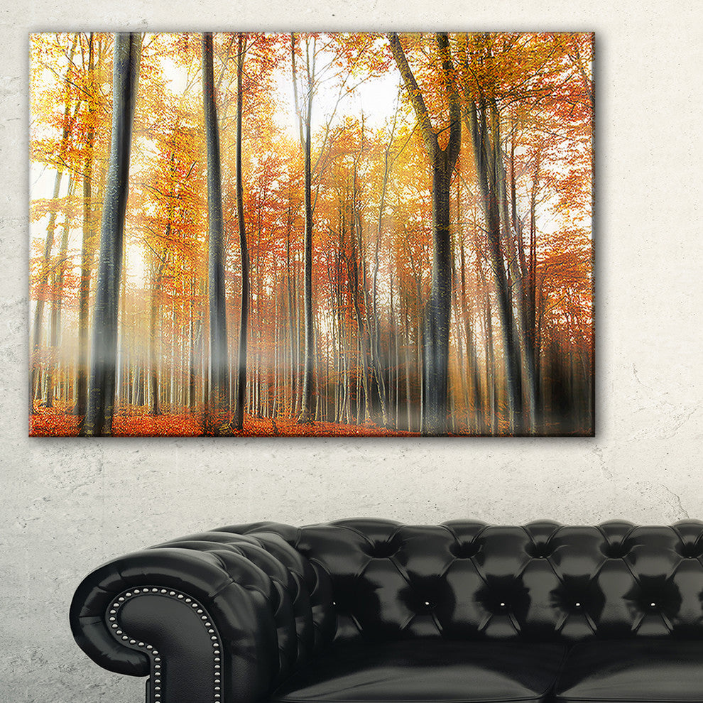 "Red and Yellow Leaves in Fall" Landscape Photo Wall Art, 32"x16"