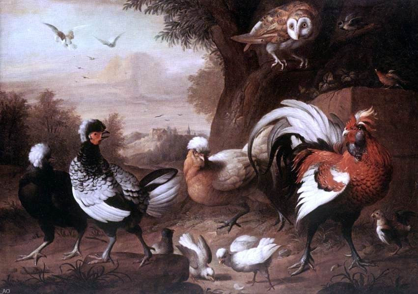 Jakab Bogdany Fowls and Owl, 18"x27" Wall Decal