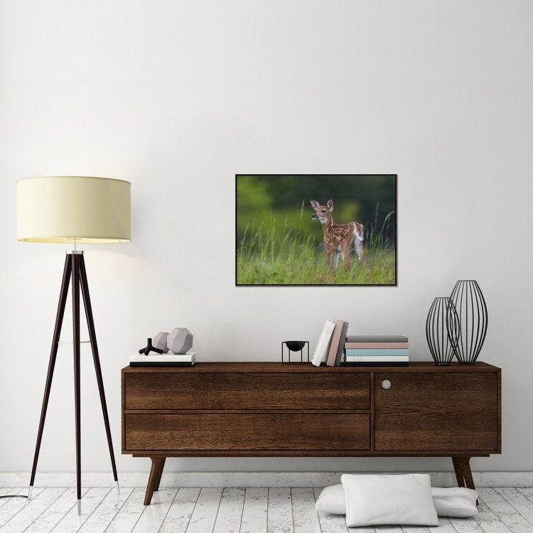 Spring Fawn, 36"x24"