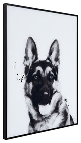 "German Shepherd" Black and White Pet Art on Printed Glass with Anodized Frame
