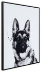 "German Shepherd" Black and White Pet Art on Printed Glass with Anodized Frame