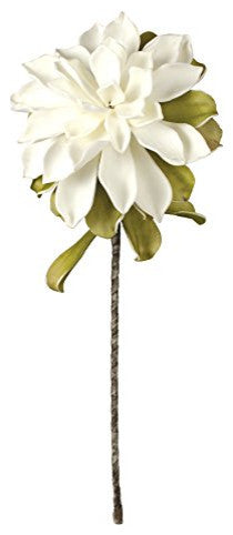 Botanica #533
