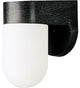 1-Light Wall Lantern White Acrylic Cylindrical Diffuser, Black