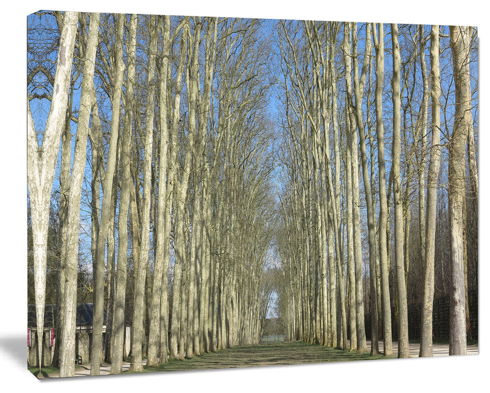Gardens of Palace Versailles, Modern Forest Canvas Art, 40"x30"