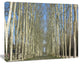 Gardens of Palace Versailles, Modern Forest Canvas Art, 40"x30"