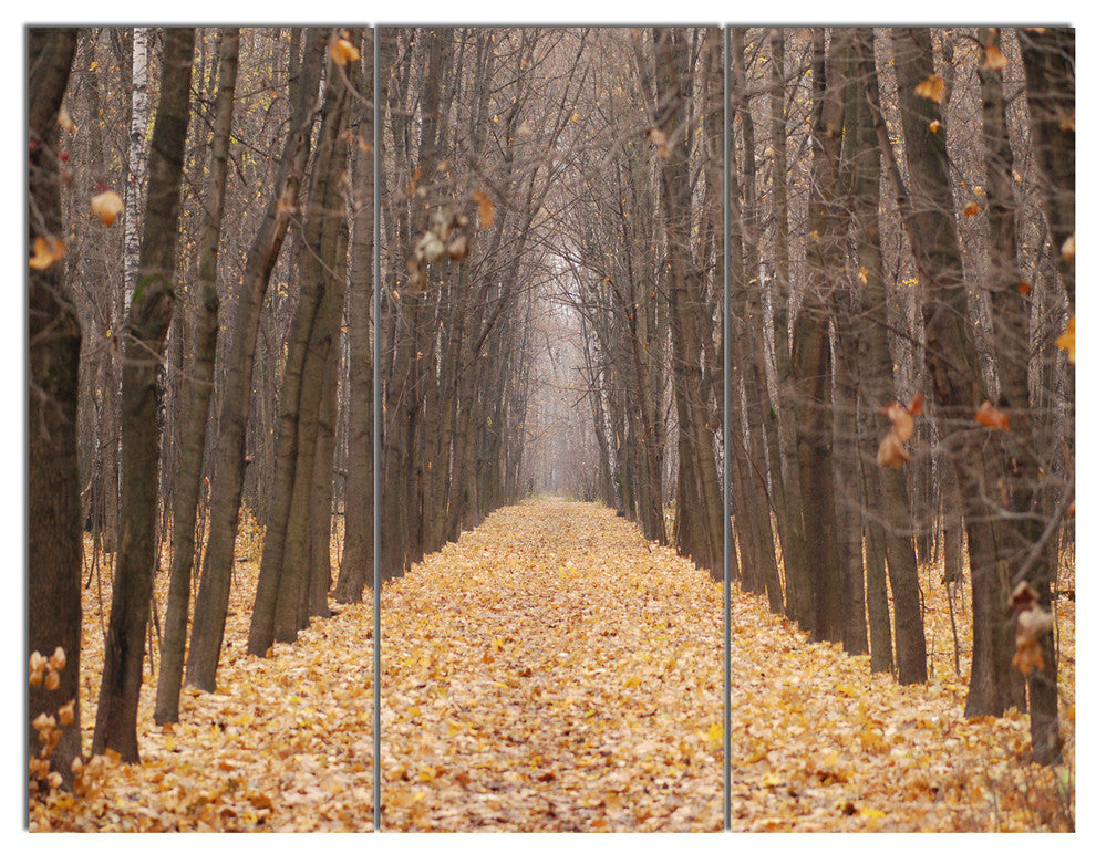 Yellow Road through Fall Forest, Modern Forest Canvas Art, 36x28, 3 Panels