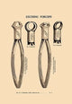 Excising Forceps - Canvas Poster 20" x 30"