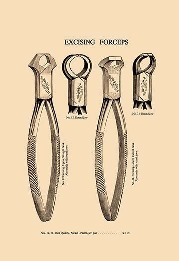 Excising Forceps - Canvas Poster 20" x 30"