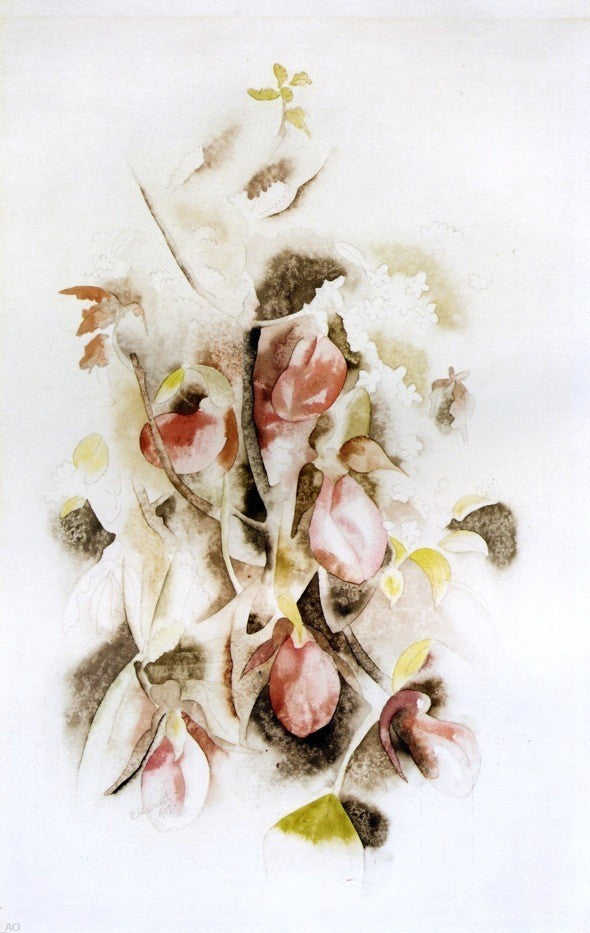 Charles Demuth Pink Lady Slippers, 18"x27" Wall Decal Print