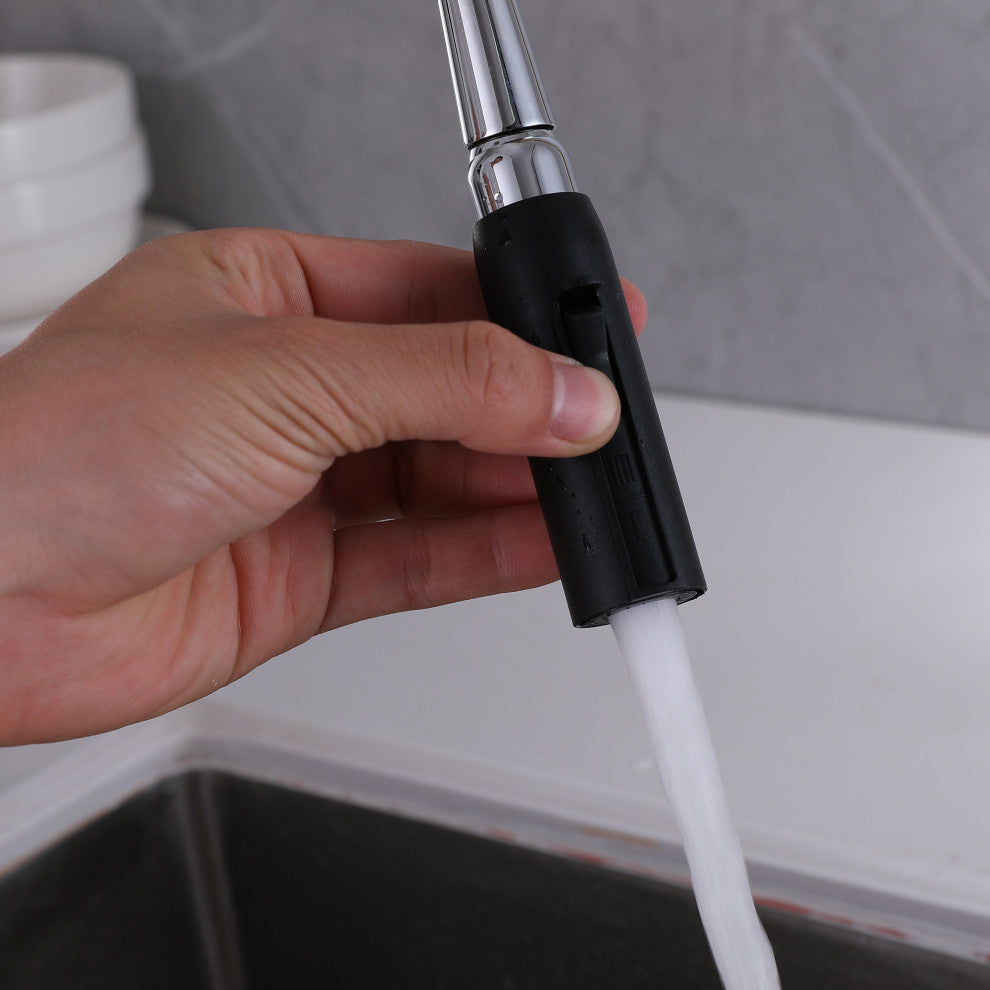 Dual-Function Pull Out Kitchen Faucet With Single Handle and Swivel Spout