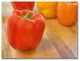''Tri Color Peppers'' Canvas Art by Michelle Calkins