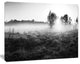 Rural Meadow in Mist, Landscape Canvas Art Print, 20"x12"