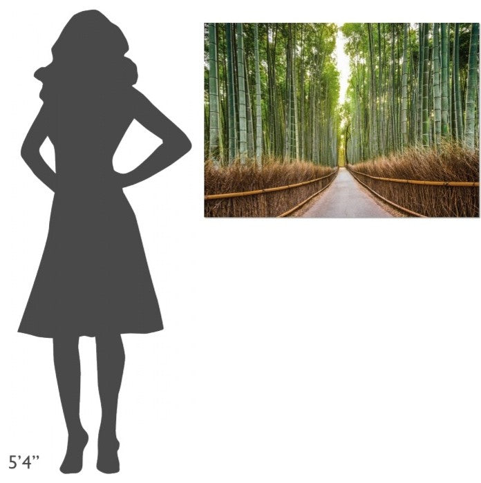 "Bamboo Forest, Kyoto, Japan" Stretched Canvas Giclee by Pangea Images, 40x28"